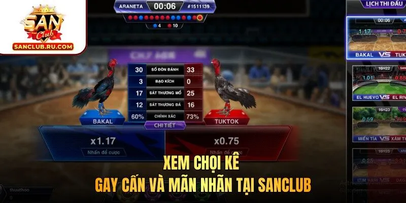 Xem chọi kê gay cấn và mãn nhãn tại SANCLUB