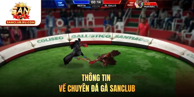 Thông tin về chuyên đá gà SANCLUB