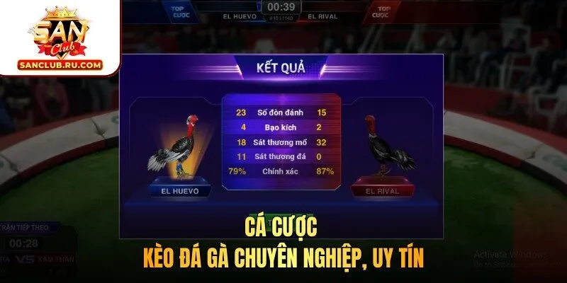 Cá cược kèo đá gà chuyên nghiệp, uy tín