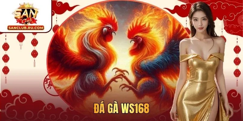 Đá gà WS168