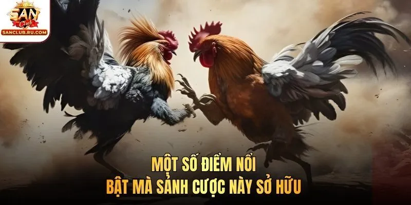 Một số điểm nổi bật mà sảnh cược này sở hữu 