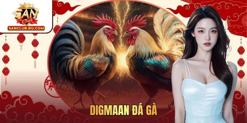 Digmaan đá gà