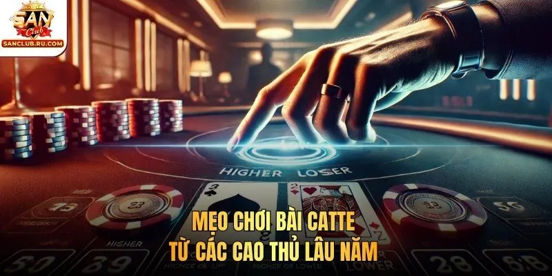 Mẹo chơi bài Catte từ các cao thủ lâu năm 