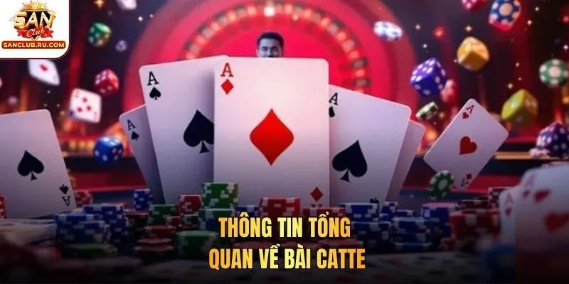 Thông tin tổng quan về bài Catte