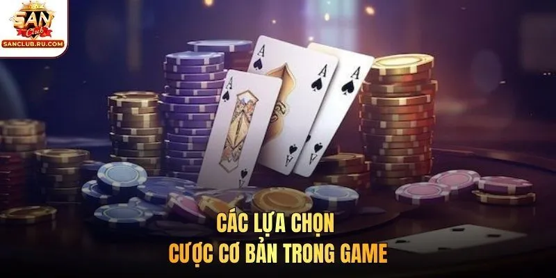 Các lựa chọn cược cơ bản trong trò chơi